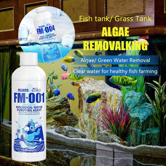 🌟Purificador de Agua y Eliminador de Algas para Pecera🌟